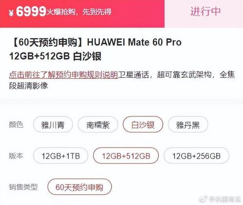 华为商城怎样预定mate60-华为商城预定mate60之法