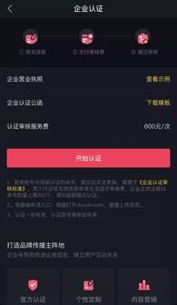 抖音子账号是否需开通蓝V认证-抖音子账号蓝V认证是否必要