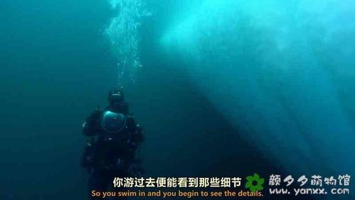 夸克网盘保存分享链接之法-夸克网盘怎样保存分享链接