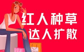 小红书任务推广策略之析-小红书任务推广策略详解