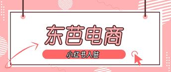 小红书促销推广之策-小红书促销推广策略