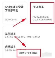 小米手机如何开启开发者模式-小米手机怎么开启开发者模式