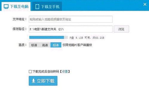 优酷视频下载后怎样转mp4-优酷视频下载后如何转换为mp4