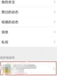 视频号私密账号设置指南-视频号如何设置私密账号
