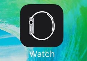 苹果iOS182Beta2更新内容全知道-苹果iOS182Beta2更新内容详解