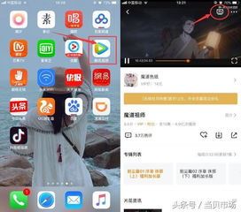 苹果手机怎样实现爱奇艺投屏-苹果手机如何用爱奇艺投屏