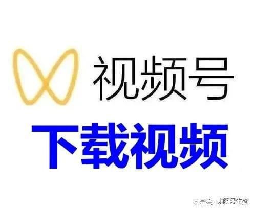 微信视频号评论如何查找-微信视频号评论怎样查找