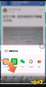 豆瓣投诉后能否看到投诉人-豆瓣投诉与投诉人可见性