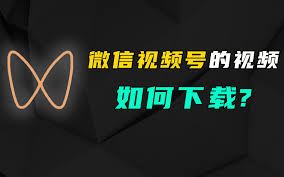 视频号视频下载方法-视频号视频如何下载