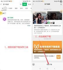 视频号视频下载方法-视频号视频如何下载