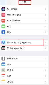 爱奇艺取消苹果自动续费的方法-爱奇艺如何取消苹果自动续费