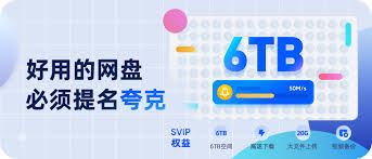 夸克网盘安全性怎么样-夸克网盘的安全性如何
