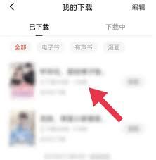 红果免费短剧怎样查看离线下载小说-红果短剧离线小说查看方法