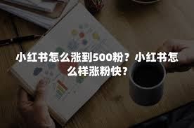 小红书涨粉的快速技巧是什么-小红书涨粉快技巧探究