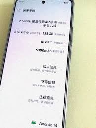 iqoo手机怎样查看运行内存使用状况-iqoo手机如何查看运行内存使用情况