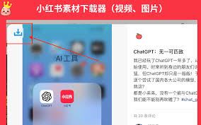 小红书视频下载方法全知道-小红书视频下载方法详解