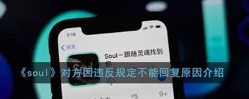 soul无法评论的解除方法-soul无法评论怎么解除