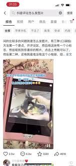 抖音评论能否发图-抖音评论不可以发图吗