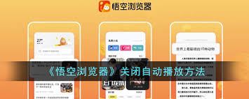 悟空浏览器怎样关闭自动播放-悟空浏览器的自动播放关闭方法