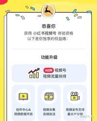 小红书专业号无法升级的原因-小红书无法升级专业号原因