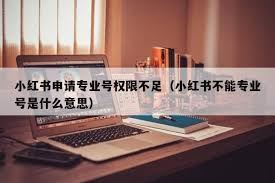小红书专业号无法升级的原因-小红书无法升级专业号原因