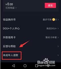 抖音未成年人退款流程详析-抖音未成年人退款流程详解