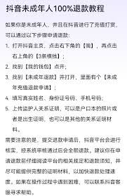 抖音未成年人退款流程详析-抖音未成年人退款流程详解