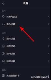 抖音隐私设置导致搜不到对方如何解决-抖音隐私设置搜不到对方怎么办