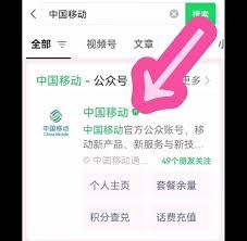 中国移动如何查询-中国移动查询方法