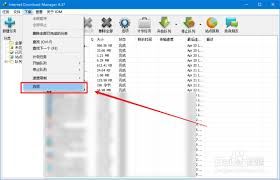 IDM下载器怎样修改连接数进行多进程下载-IDM下载器修改连接数实现多进程下载之法