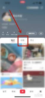 小红书笔记分类合集指南-小红书笔记如何分类合集