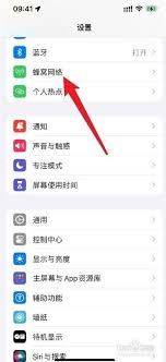 苹果手机怎样设置主号与副号-苹果手机如何设置主号和副号