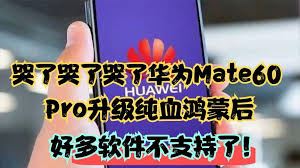 华为手机升级纯血鸿蒙后可否回退原系统-华为手机升级纯血鸿蒙后能否退回原系统