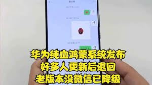 华为手机升级纯血鸿蒙后可否回退原系统-华为手机升级纯血鸿蒙后能否退回原系统