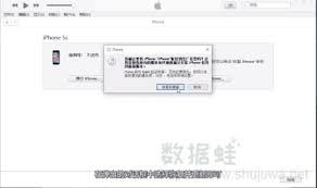 白苹果现象的阐释-白苹果现象解释