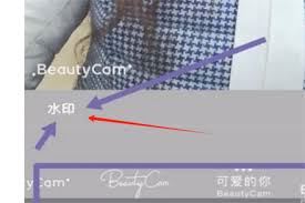 美颜相机怎样修改水印-美颜相机水印修改方法